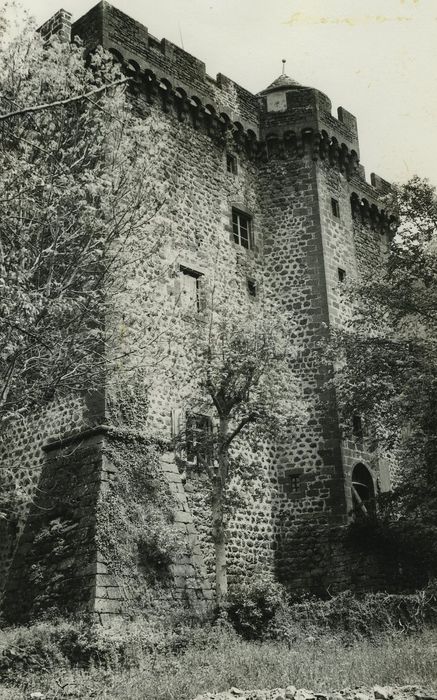 Donjon de la Boyle : Façade sud, vue générale