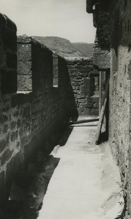 Donjon de la Boyle : Chemin de ronde, vue partielle