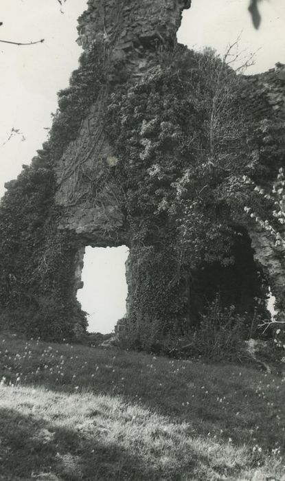 Ruines du château fort de Miremont : Vue partielle des ruines depuis l'Ouest