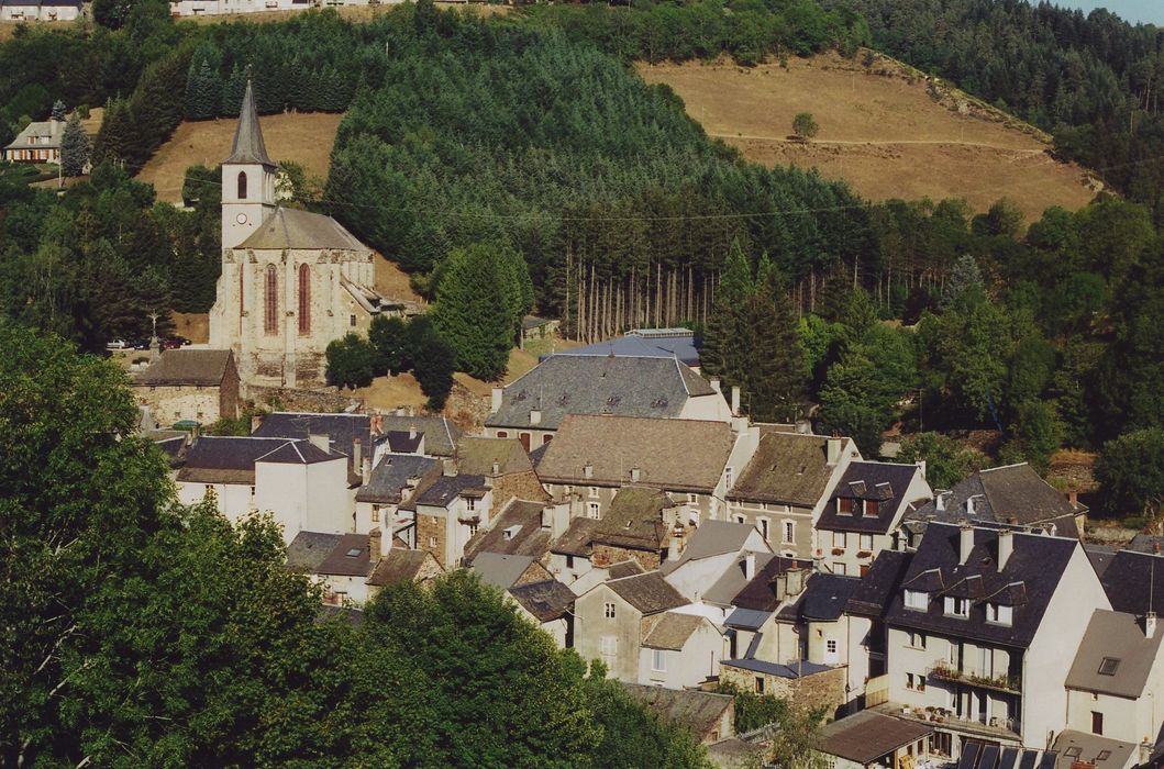 Eglise Saint-Blaise et Saint-Martin : Vue générale de l'église dans son environnement depuis l'Est