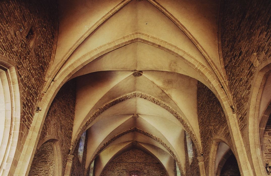 Eglise Saint-Blaise et Saint-Martin : Nef, vue générale des voûtes