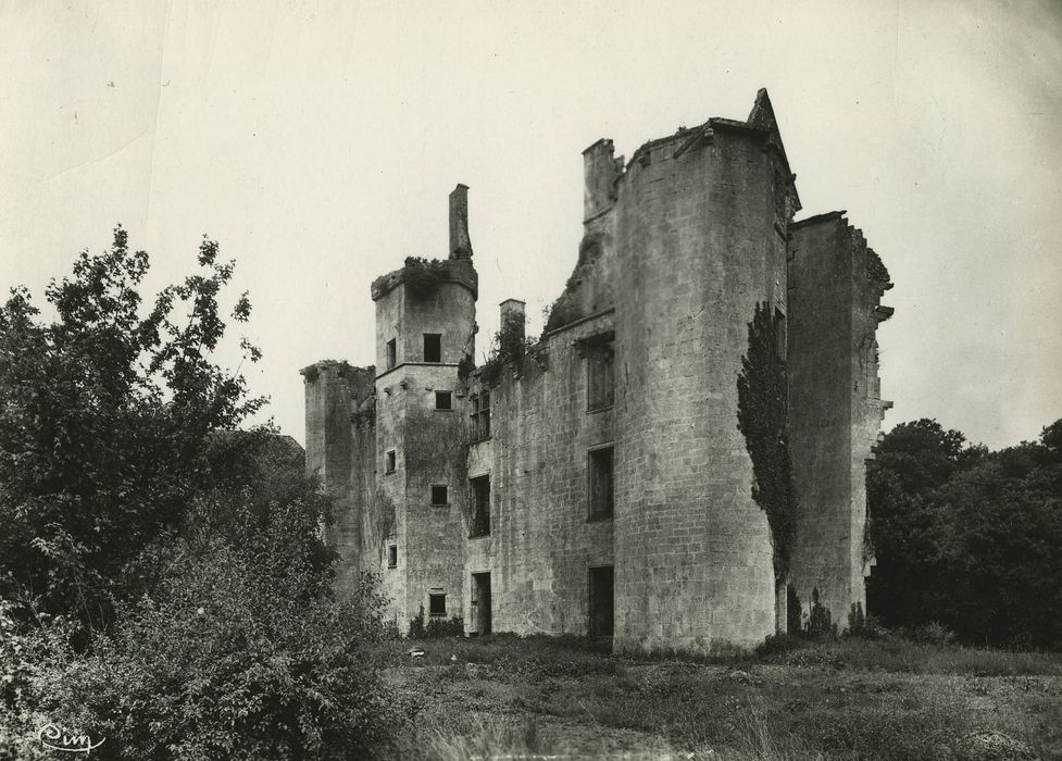 Château de Rochefort (vestiges) : Façade sud, vue générale