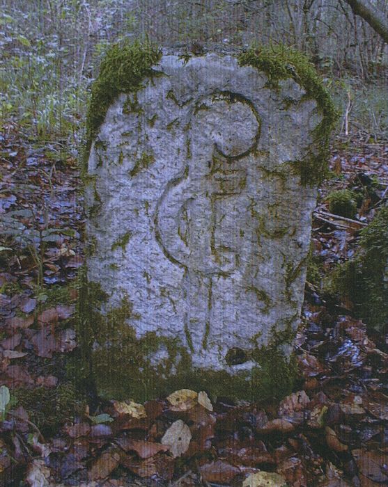 Borne n°3 de la forêt de Crépey