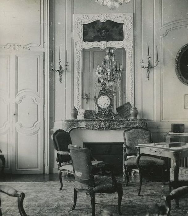 Château : Grand salon, vue partielle des lambris de revêtement