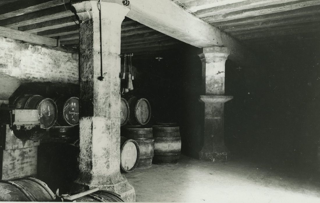 Bâtiment dit Cave du Chapitre : Cave du rez-de-chaussée, vue partielle