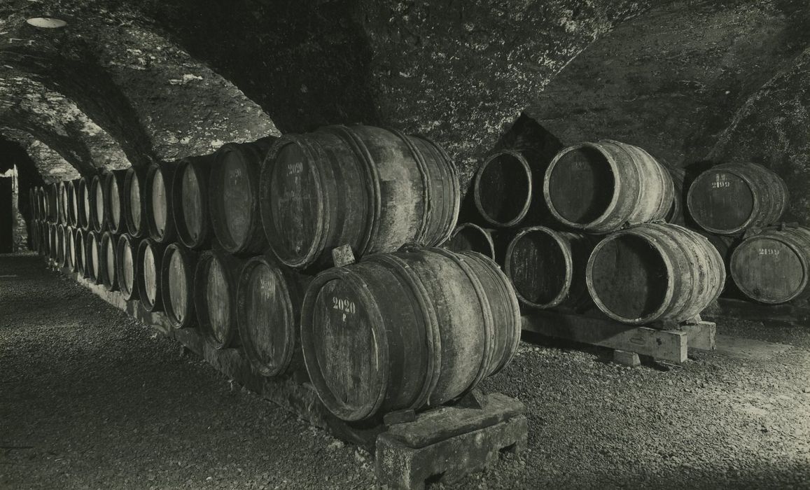 Bâtiment dit Cave du Chapitre : Sous-sol, cave, vue partielle