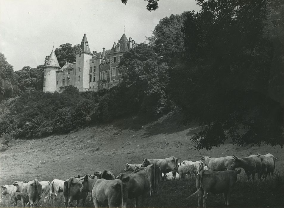 Château de Rocheprise : Ensemble ouest, vue partielle