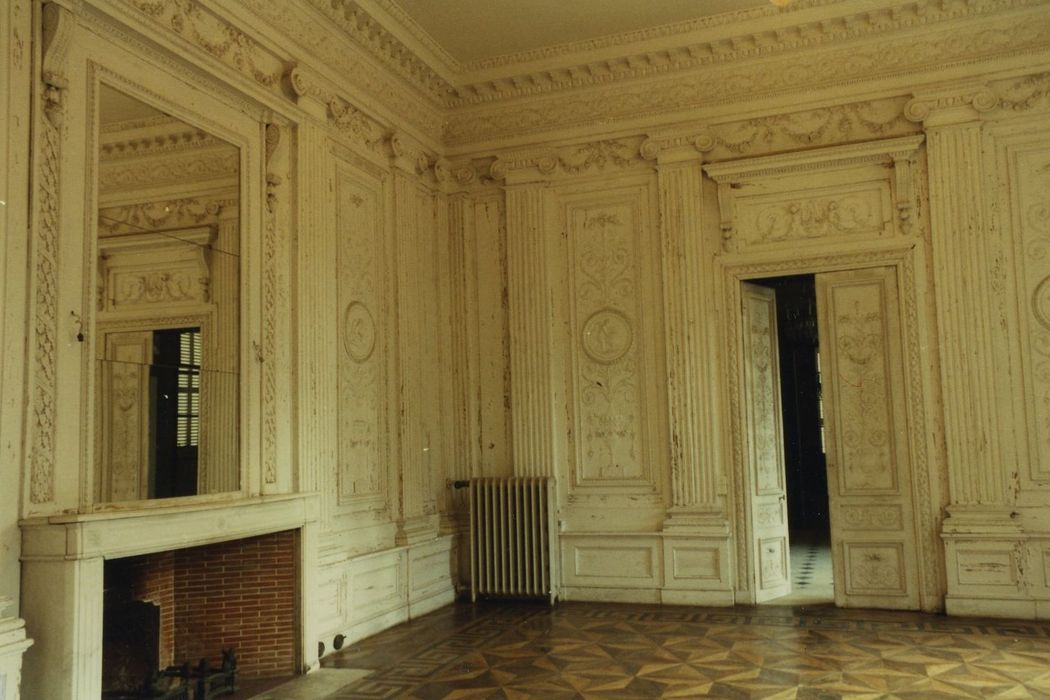 Château : Grand salon, vue partielle