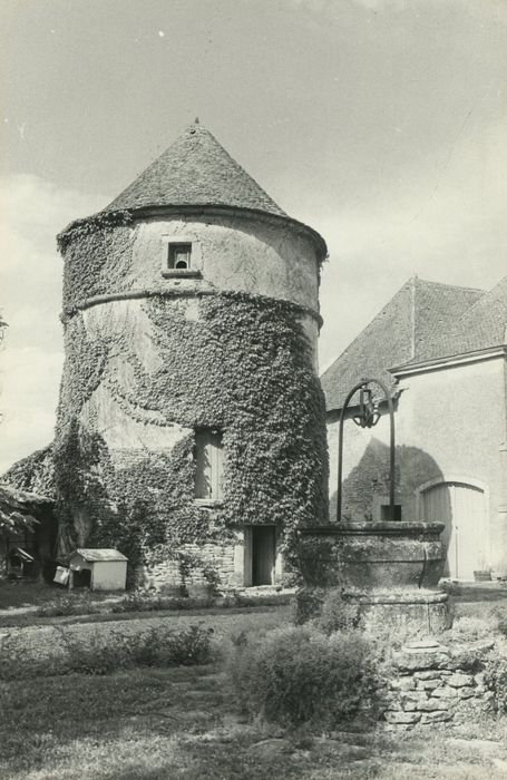 Château : Colombier, vue générale