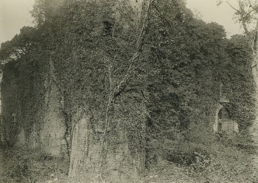 Château de Ledavrée (restes) : Vue partielle des ruines