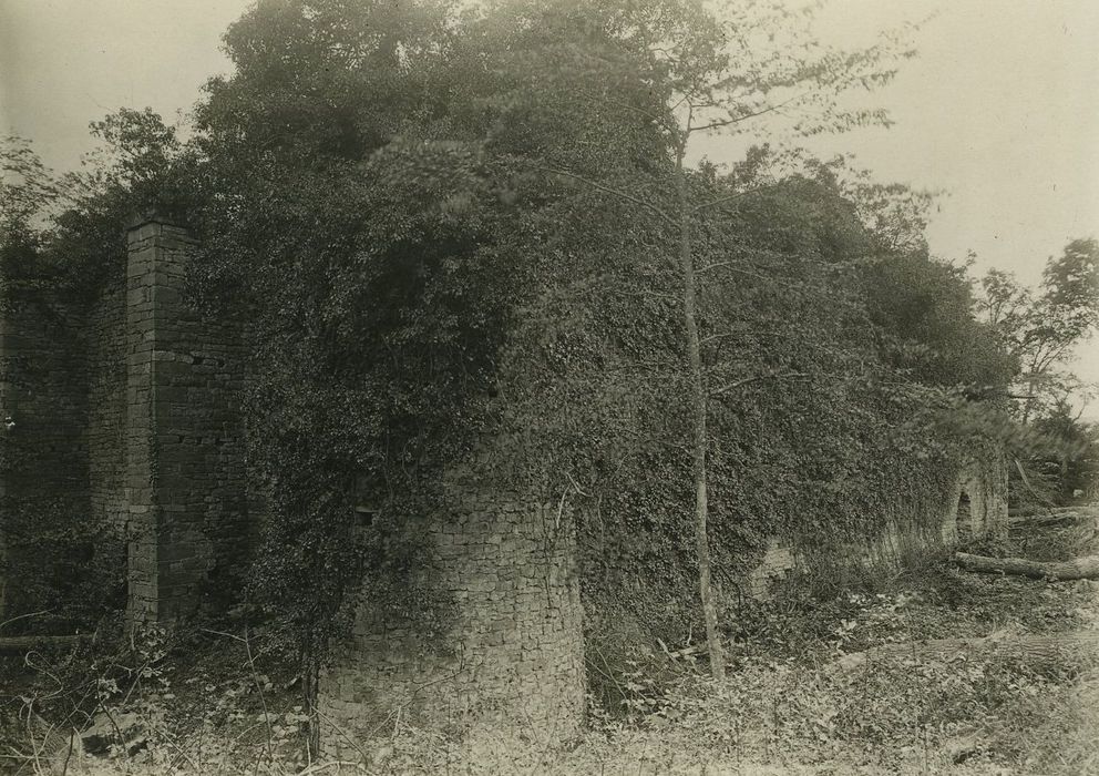 Château de Ledavrée (restes) : Vue partielle des ruines