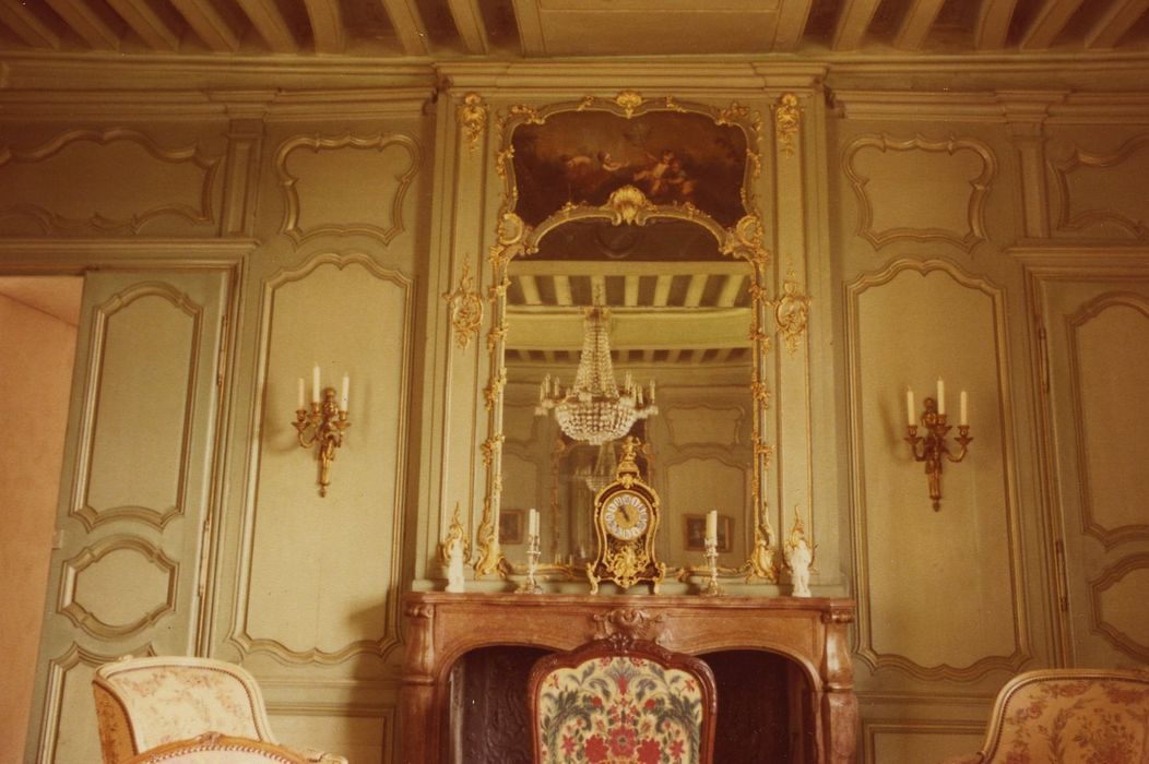 Château du Roussay : Corps de logis, grand salon, lambris de revêtement, vue partielle