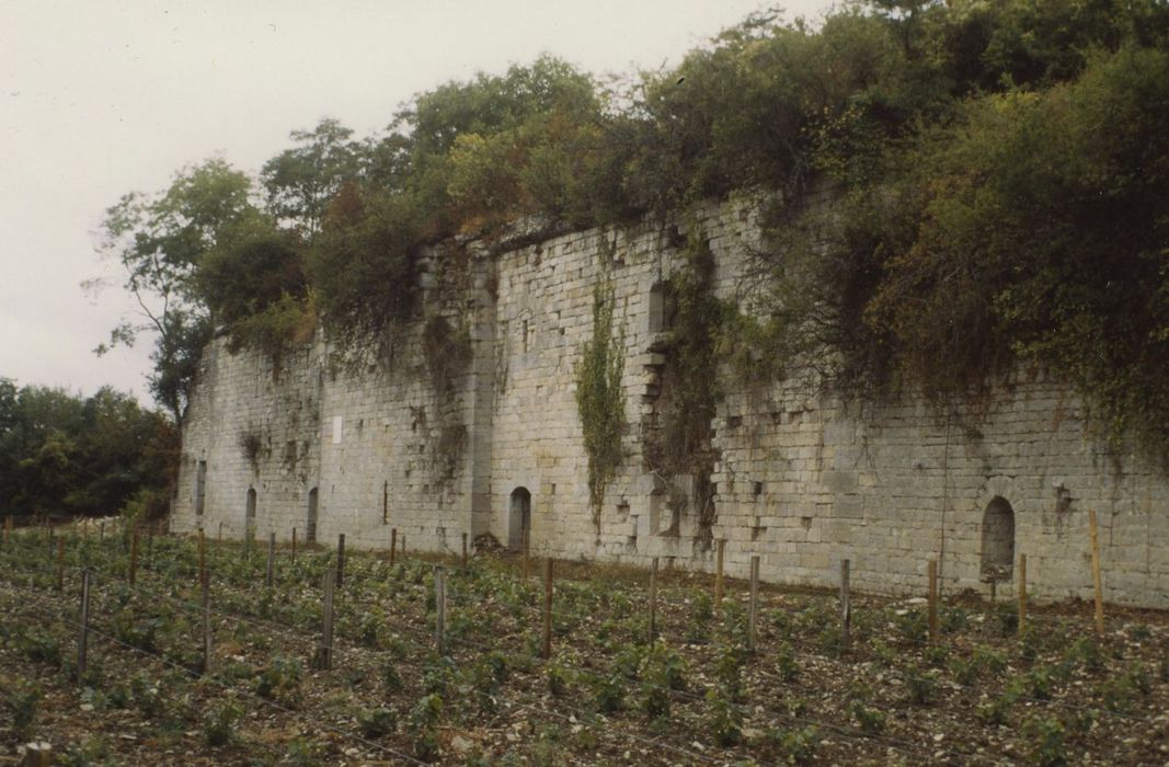 Abbaye Saint-Vivant (ruines) ou vestiges de l'abbaye Saint-Vivant : Mur de soubassement du logis abbatial, vue générale