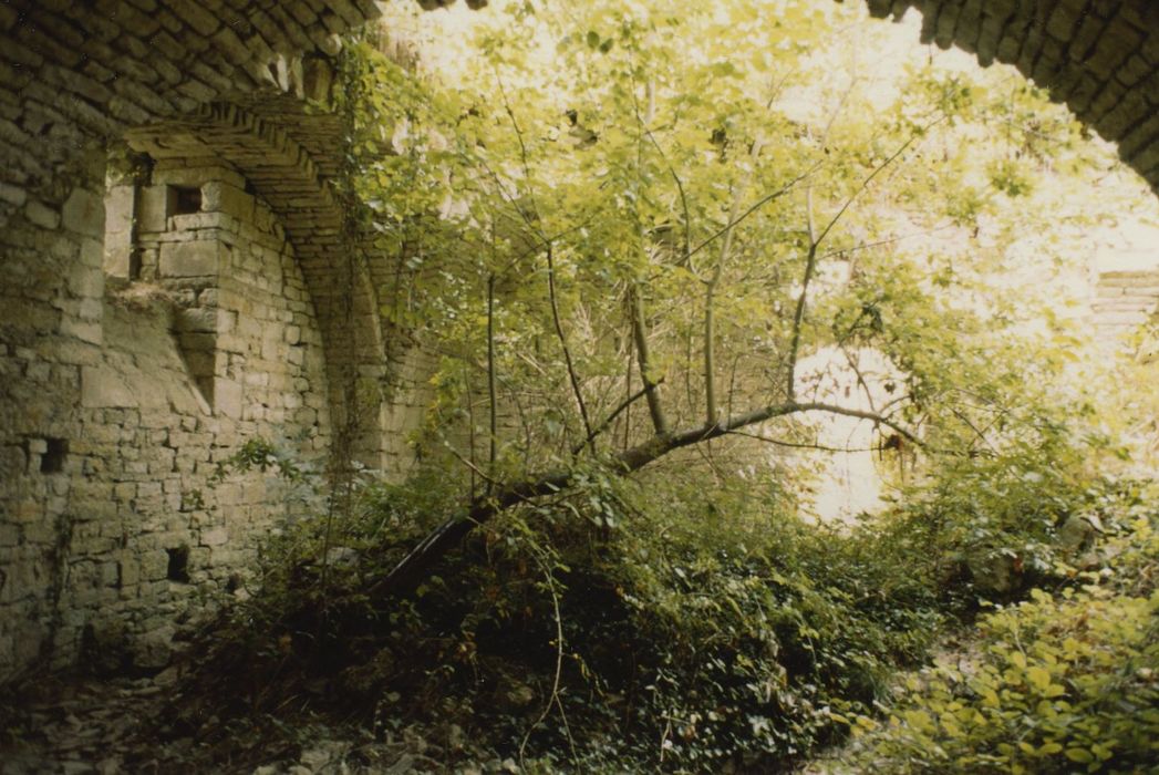 Abbaye Saint-Vivant (ruines) ou vestiges de l'abbaye Saint-Vivant : 2e étage de soubassement du logis abbatial, vue partielle des ruines