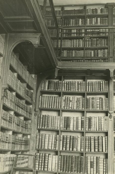 Collège des jésuites des Godrans (ancien) : Aile nord, bibliothèque, vue partielle