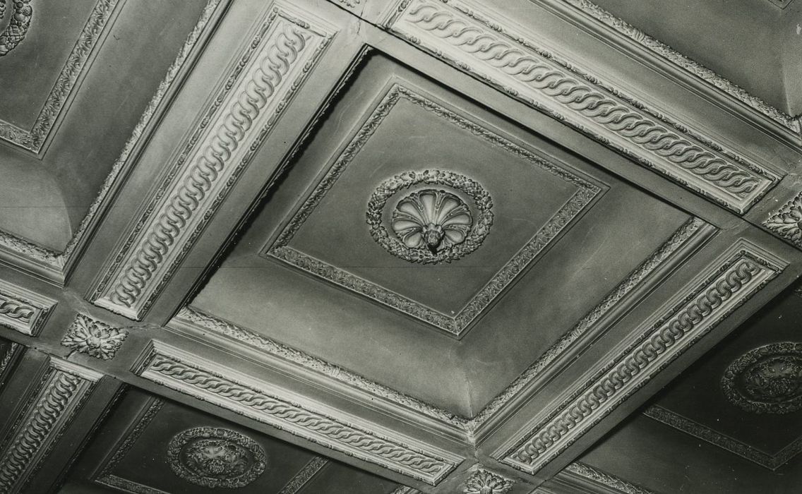 Hôtel du Président Bouhier : Salon Louis XVI, détail du plafond