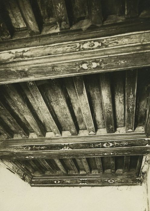 Manoir de Lezeu (ancien) : Plafond peint de la grande salle, vue partielle