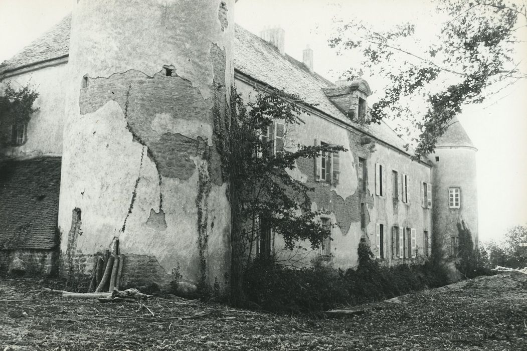 Château de Promenois : Façade ouest, vue générale