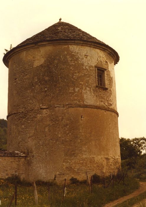 Château : Colombier, vue générale