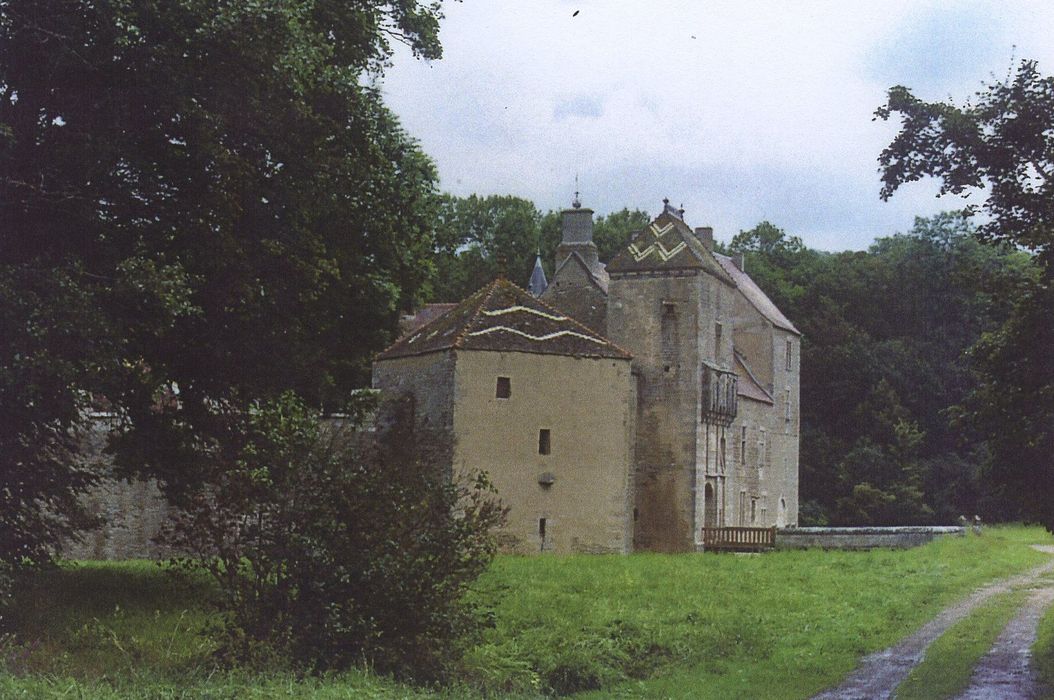 Château : Vue partielle du château dans son environnement depuis l’allée Ouest