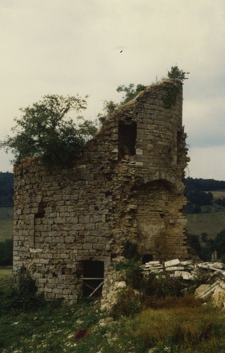 Château de Chevigny : Tour d’angle nord-ouest, vue générale