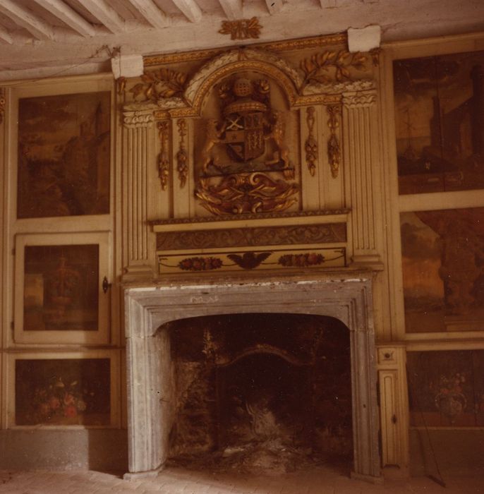 Château : Tour nord-est, cheminée, vue générale