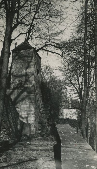 Château de Buffon : Parc, vue partielle