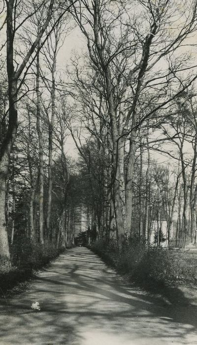 Château de Buffon : Parc, vue partielle