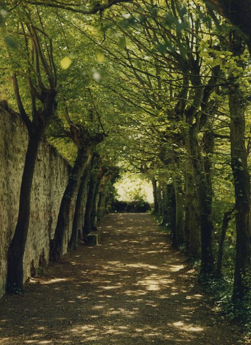 Maison de l'Arquebuse : Jardin, vue partielle