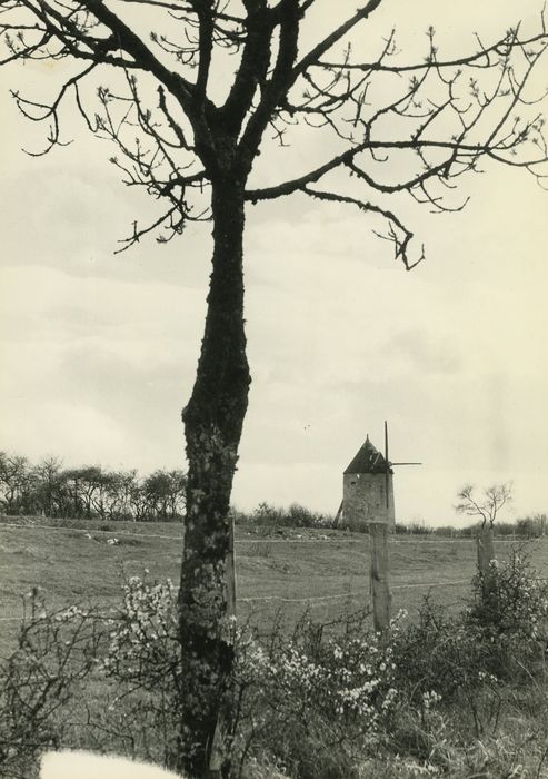 Moulin à vent, vue générale du moulin dans son environnement