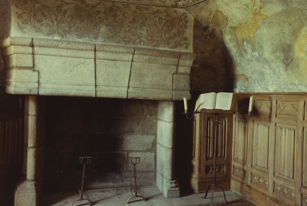 Château de la Vigne : Chambre de Justice, cheminée monumentale, vue générale