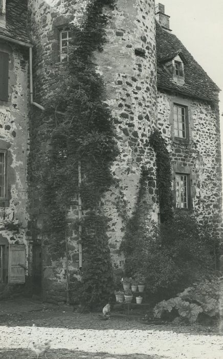 Château de la Trémolière : Façade est, vue partielle