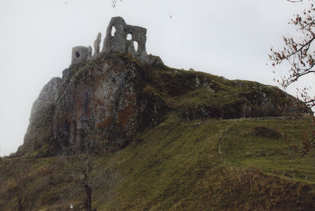 Château fort d'Apchon : Ensemble nord-est, vue générale