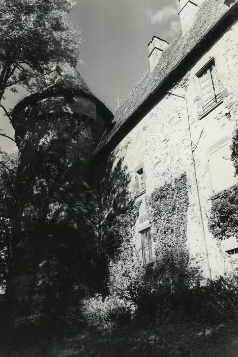 Château de Conros : Façade ouest, vue partielle