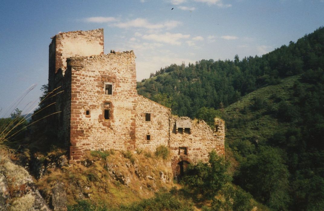 Château d'Agrain : Ensemble sud, vue générale