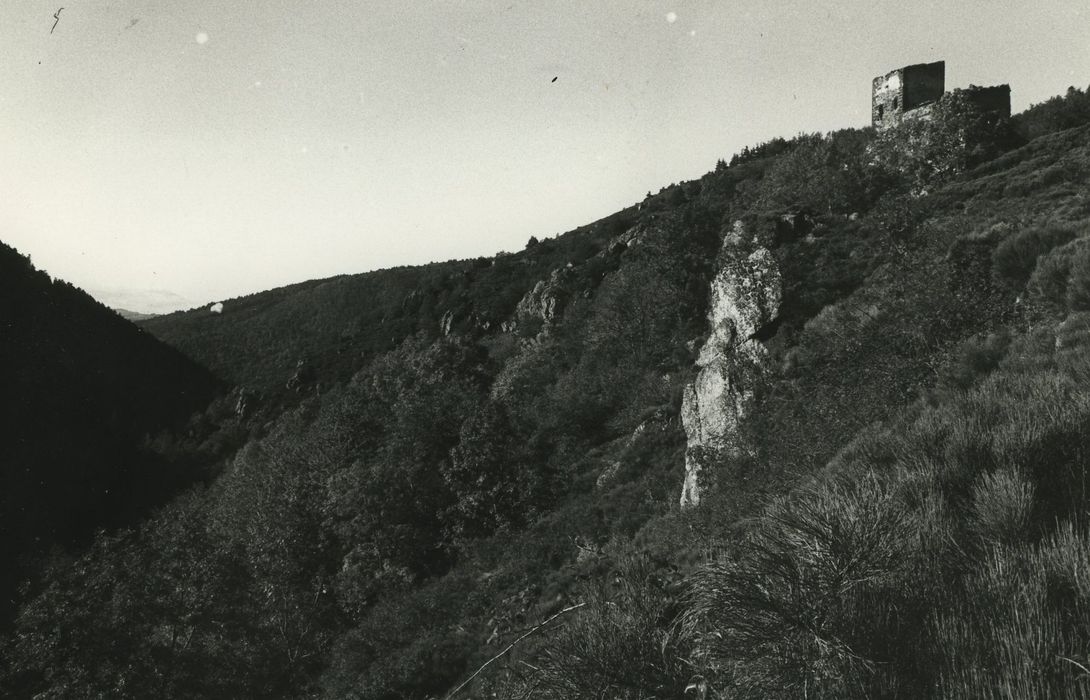 Château d'Agrain : Vue générale des ruines du château dans leur environnement