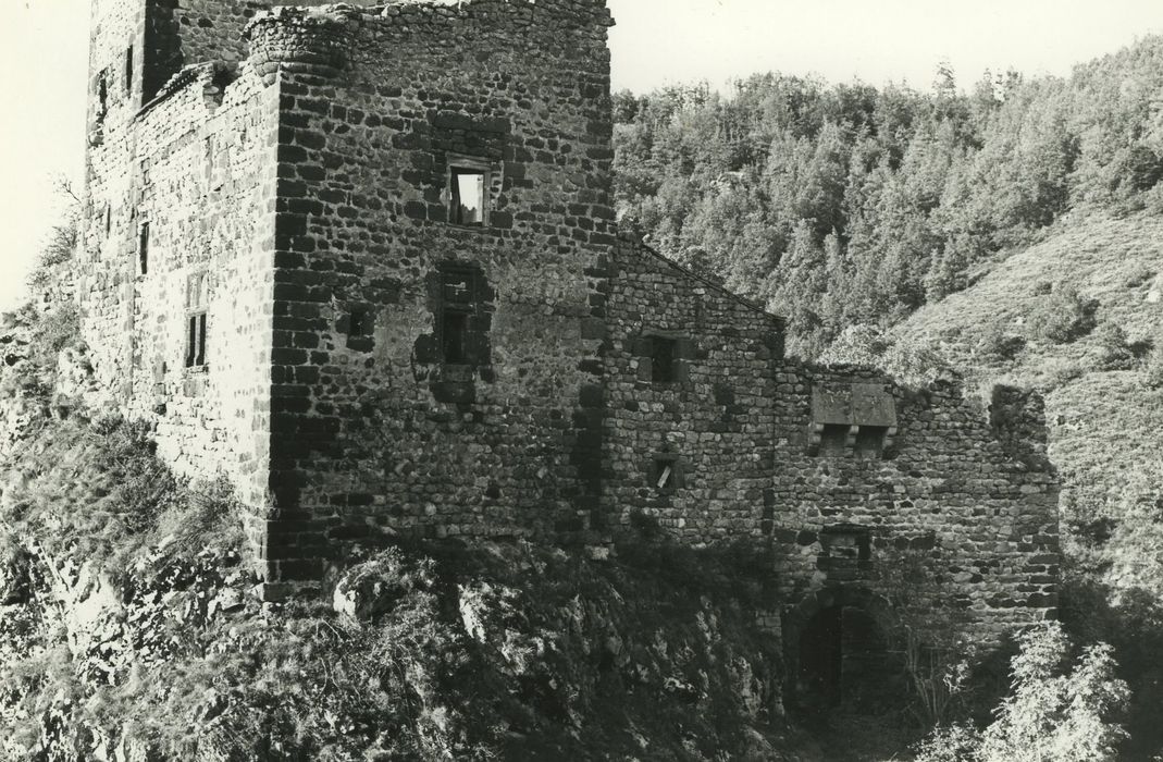 Château d'Agrain : Ensemble sud-ouest, vue générale