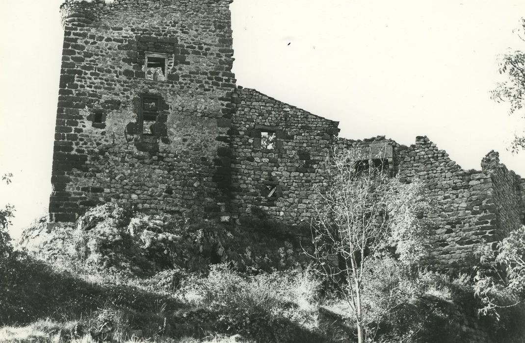 Château d'Agrain : Ensemble sud, vue générale