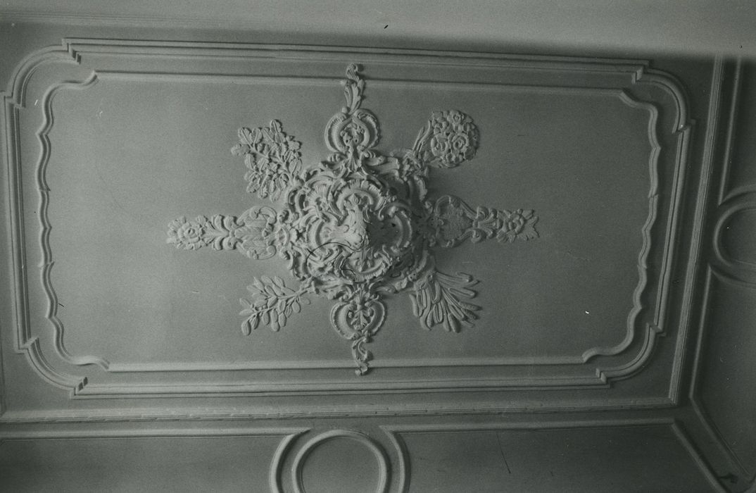 Hôtel particulier : Cage de l’escalier d’honneur, détail du plafond