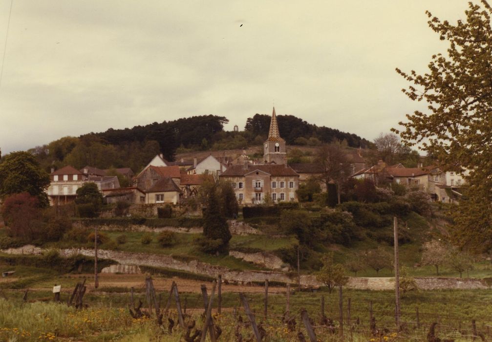 Maison de Jacques Copeau : Vue générale d ela maison dans son environnement depusi le Sud