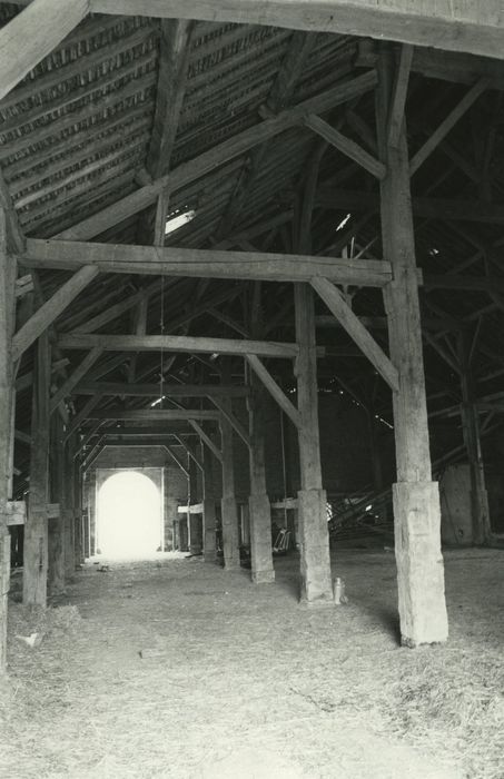 Grange cistercienne de Beaumont : Nef, vue partielle