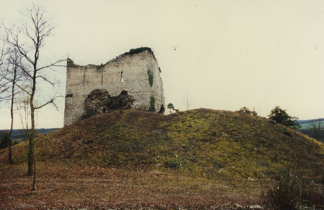 Vestiges du château féodal : Vue générale des ruines depuis le Nord