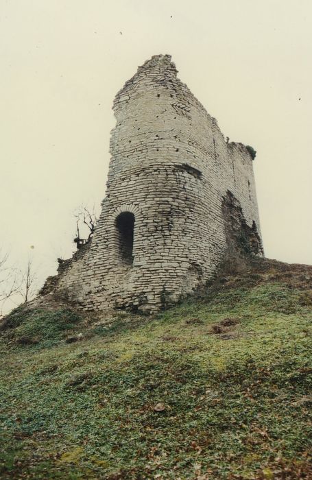 Vestiges du château féodal : Vue générale des ruines depuis l’Est