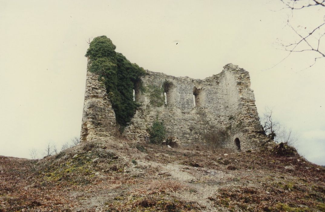 Vestiges du château féodal : Vue générale des ruines depuis le Sud