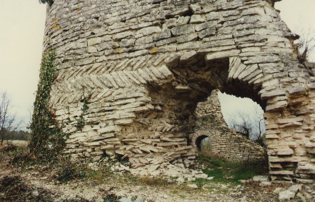 Vestiges du château féodal : Vue partielle des ruines, élévation ouest