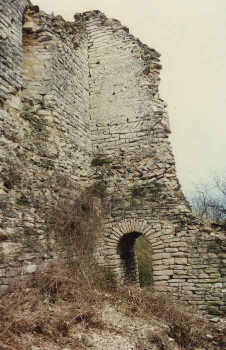 Vestiges du château féodal : Vue partielle de l’intérieur des ruines