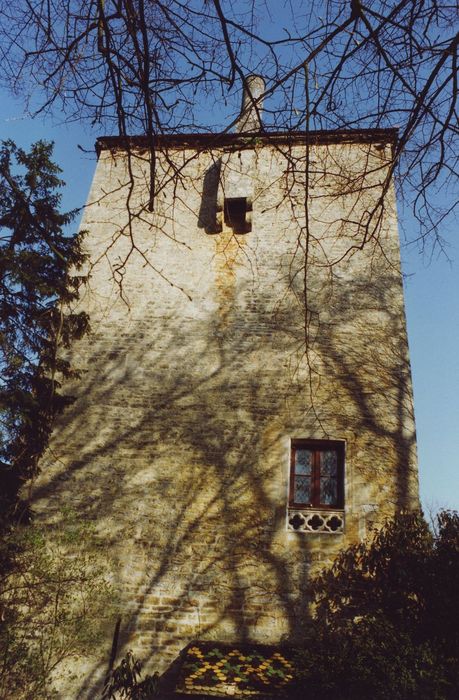 Château de Gamay : Donjon, élévation ouest, vue partielle