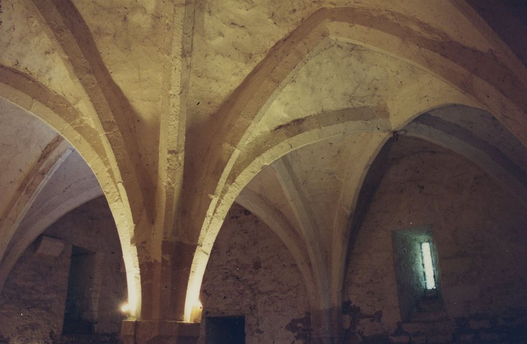 Château de Gamay : Donjon, salle basse, vue partielle