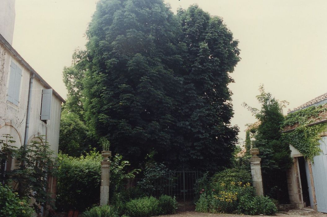 Hôtel Hernoux : Jardin, vue partielle