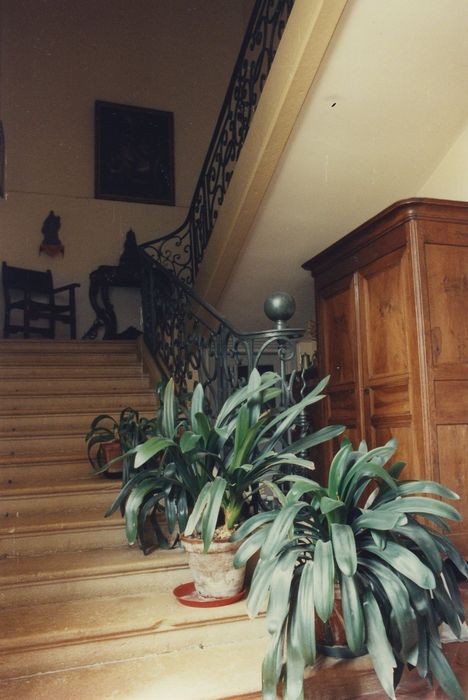 Hôtel Hernoux : Escalier d’honneur, vue partielle